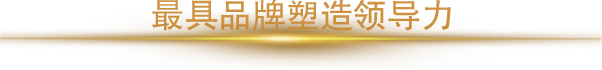 2018年度最具品牌塑造領(lǐng)導(dǎo)力人物獎