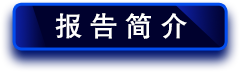 報告簡介