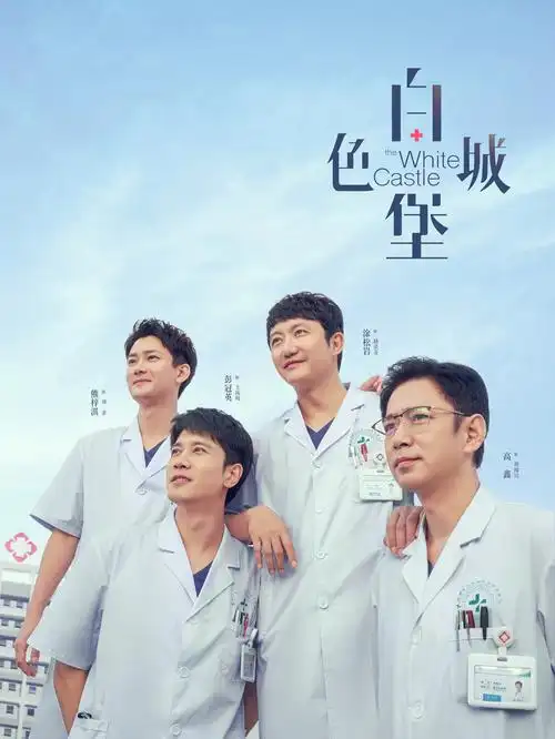 锦绣人生 电视剧海报